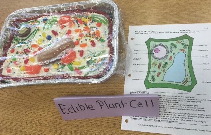 edible plant cell.