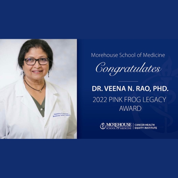 MSM Professor Dr. Veena N. Rao MSM Professor Dr. Veena N. Rao